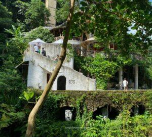 non touristy things to do in ubud, things to do in bali, ubud monkey forest, unique things to do in ubud, things to do in ubud at night, things to do in ubud centre, things to do in ubud town, ubud travel, ubud travel guide, ubud travel tips, ubud travel itinerary, ubud travel package, ubud bali things to do, travel ubud bali