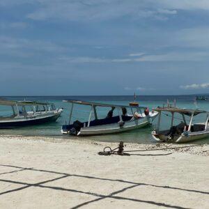 Gili Trawangan, things to do in Gili Trawangan, Gili Trawangan island, Gili Islands Indonesia, Gili Trawangan night life, Gili T Bali, Gili Isalnds, Gii Trawangan beach, Gili Trawangan aesthetic, snorkeling in Gili Trawangan, diving in Gili Trawangan, top activities, travel, island, water, snorkelling, scuba diving, yoga, bars, clubs, turtles, glass bottom boat, night market, gap year
