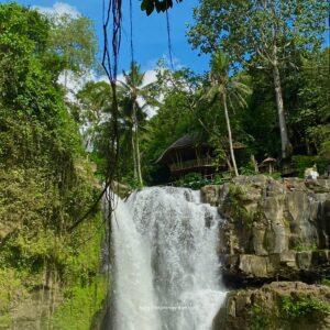 things not to do in Bali