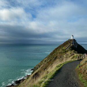 things to know before visiting new zealand