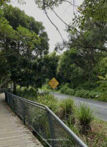 byron bay pass