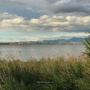 New Zealand itinerary north island