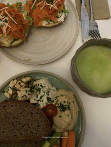 vegan travel guide