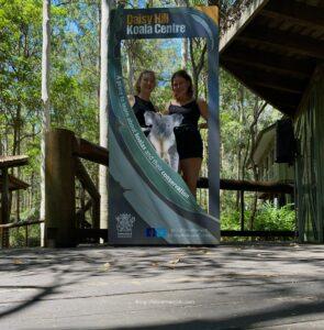 lone pine koala sanctuary map, koala spotting great ocean road