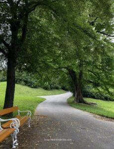 Türkenschanzpark, hidden spots to chill in summer