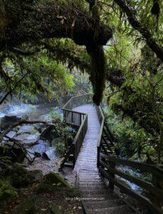 backpacker tips