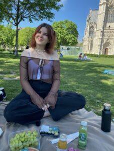 Parks in summer in Vienna