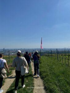 vienna summer