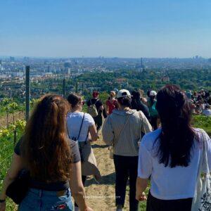 Vienna Wine Hike