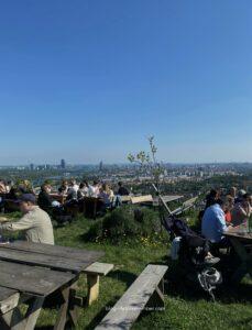vienna activities