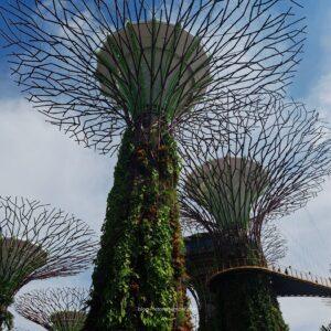 things to do in singapore