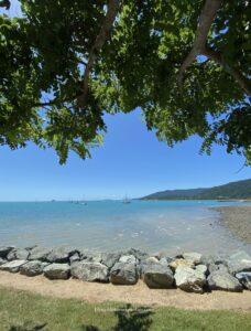 lagoon airlie beach