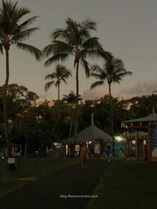 nightlife and clubs airlie beach