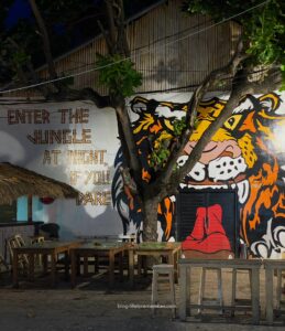 gili t party island, gili trawangan guide
